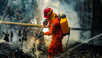 Photo of Aumentan en un 47 % los incendios en El Salvador durante 2026, alerta Bomberos