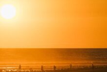 Photo of Protección Civil insta a evitar esfuerzos físicos bajo el sol por altas temperaturas