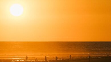 Photo of Protección Civil insta a evitar esfuerzos físicos bajo el sol por altas temperaturas