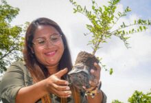 Photo of Día Mundial del Medio Ambiente