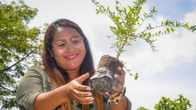 Photo of Día Mundial del Medio Ambiente