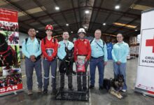 Photo of Balto Bernabé fortalece la Unidad KSAR de Cruz Roja Salvadoreña con su incorporación como canino de búsqueda y rescate