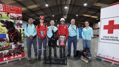 Photo of Balto Bernabé fortalece la Unidad KSAR de Cruz Roja Salvadoreña con su incorporación como canino de búsqueda y rescate