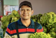 Photo of Productores agrícolas fortalecen la seguridad alimentaria y el desarrollo de El Salvador