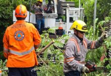 Photo of Podas preventivas reducen riesgos para las familias durante la temporada de lluvias en San Miguel