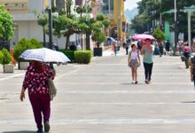 Photo of Calor de hasta 39 °C marcará este viernes