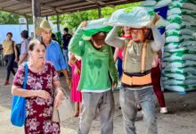 Photo of Agricultores de San Miguel reciben paquetes de abono para sus cultivos
