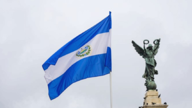 Photo of Los símbolos patrios