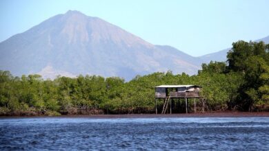 Photo of Bahía de Jiquilisco se incorpora a red hemisférica de sitios clave para aves playeras